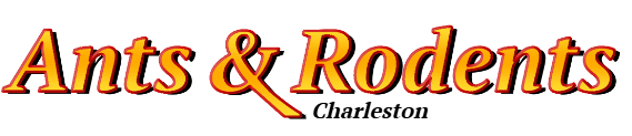 Charleston Ant Exterminator & Rodent Control Company Logo